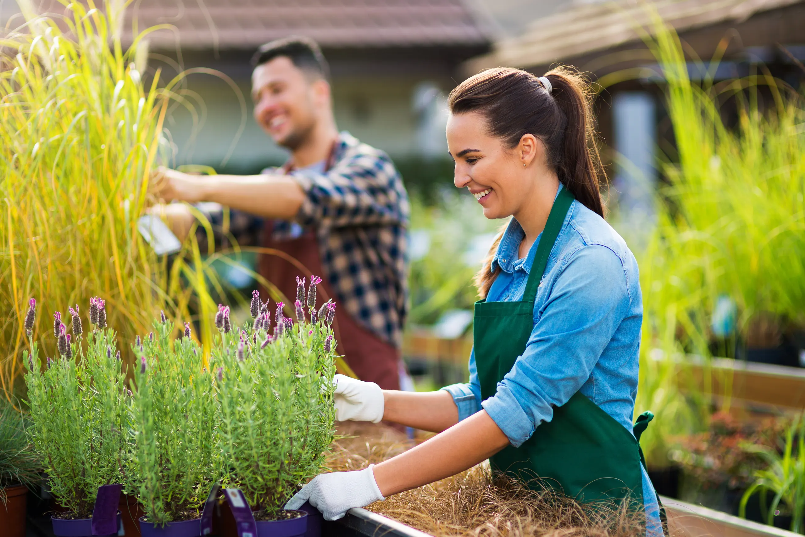 Garden center materials